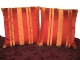 p010